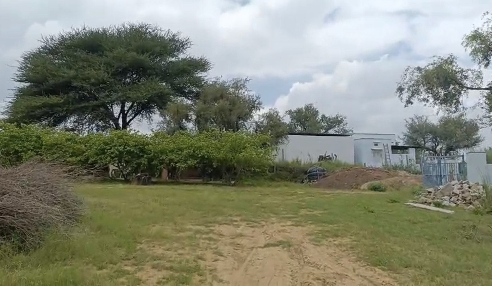 Land in Prempura, Nagaur — photograph 2